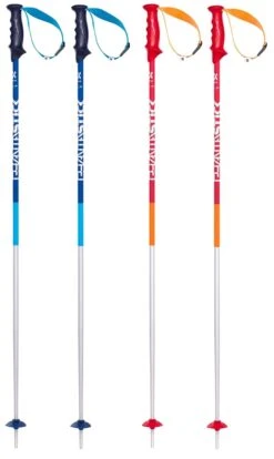 VÖLKL PHANTASTICK Skistock Skistöcke (16 Mm) Collection 2019