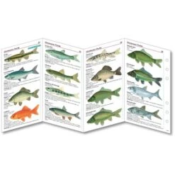 Sub-base Fischkarten Logbuch Einlagen Süsswasser Fische Mit SSI Lochung 9 Sub-base Fischkarten Logbuch Einlagen Süsswasser Fische Mit SSI Lochung -ActionSport Würzburg Shop 402 suesswasser ssi einlagen 1