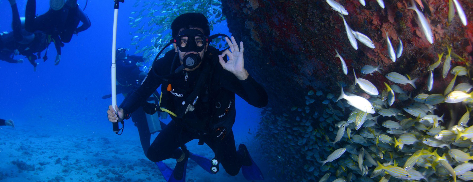 ActionSport Würzburg Shop -ActionSport Würzburg Shop dive 1849534 1920